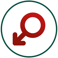 Male Hormone Profile