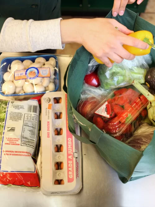 Food Intolerance Testing Practitioner Training